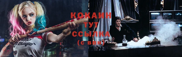 сатива Михайловск