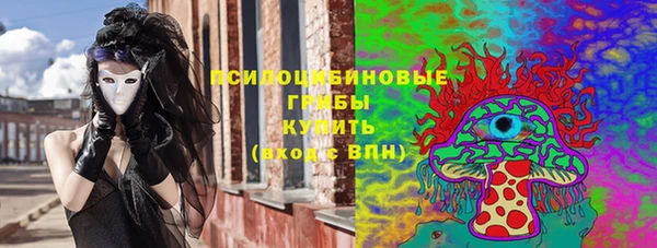 соль ск Медногорск